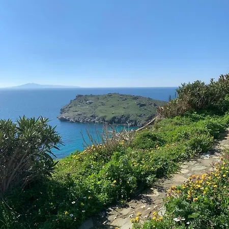 Andros Σπίτι διακοπών